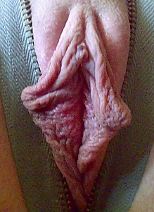 Join BarePass to view full images